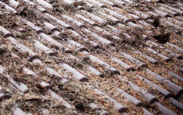 Westfields Of Rattray roof cleaning companies